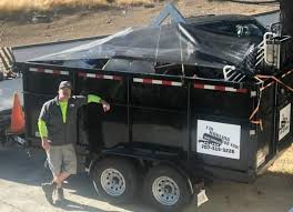 Shed Removal